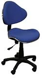 Newly Colored Blue Fabric Ergonomic Task