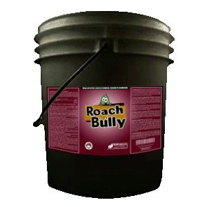 Bed Bug Killer