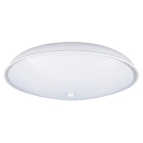 Sea Gull Lighting 6910-14 2-Light Close-to-Ceiling Fixture, White Glass and White