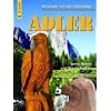 Schnitzen mit der Kettens�ge: Adler: Vom Baumstumpf zum Adler in Schritt-f�r-Schritt-Anleitungen