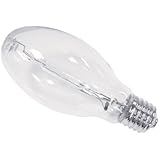 Regent Mercury Vapor Bulb (H39KB175/6)