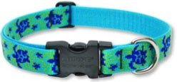 Lupine Large Dog Collar - Turtle Reef 12-20"