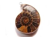 PE0387 Madagascar Ammonite Fossil Crystal Pendant