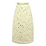 �g�[���A���}�����v ������