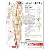 Understanding Pain Anatomical Chart in Spanish