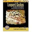 Leopard Geckos: A Complete Guide to Eublepharine Geckos