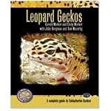 Leopard Geckos: A Complete Guide to Eublepharine Geckos