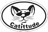 Cattitude Oval Magnet