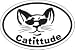 Cattitude Oval Magnet