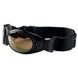 Ryders Eyewear MotorHead Goggles