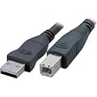 Accell A001B-016B USB 2.0 Hi-Speed Premium A/B Cable (16 Feet)