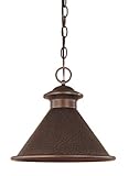 IMAGE OF World Imports Lighting 9008-86 Dark Sky Essen 1-Light 12-inch Hanging Light, Antique Copper