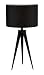 Adesso Director Table Lamp