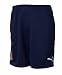 PUMA Herren Teamsport Italia Training Shorts, navy, L
