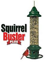 Brome 1024 Squirrel Buster Plus Wild Bird Feeder with Cardinal Perch Ring