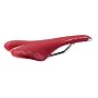 Selle Italia SLR TI Men's Bicycle Saddle (Titanium)