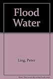 Flood Water