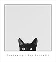 Bertelli, John - Curiosity - Kunstdruck Artprint schwarz-weiss Foto Katze - Gr&ouml;sse 45x50 cm