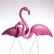 Plastic Pink Flamingo