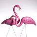 Search: Plastic Pink Flamingo Search: Plastic Pink Flamingo