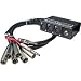 Hosa Little Bro Snake (XLR x 6 to 1/4 Inch x 2) (SH6250, 50 Foot)