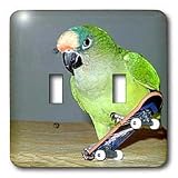 Birds - Skateboard Conure - Light Switch Covers - double toggle switch