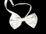 Dog Bow Tie (White)