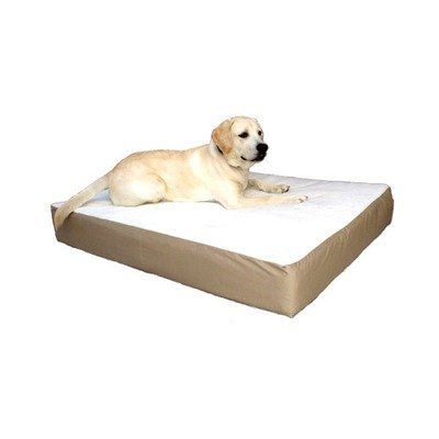 Majestic Pet 34-Inch by 48-Inch Orthopedic Double Pet Bed Large/X-Large, Khaki
