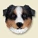 Australian Shepherd Blue Magnet