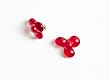 Earrings: flowers