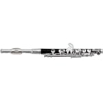 Roy Benson RBPC-502 Student Professional Piccolo