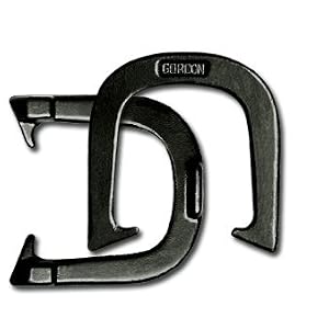 Backyard Horseshoes