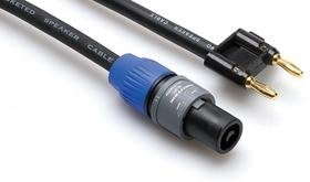 50Ft Speakon-to-Dual Banana 16AWG 2C Pro Audio Cable