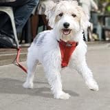 Kurgo Pet Travel Small Tru-Fit Smart Harness for Dogs black -color-