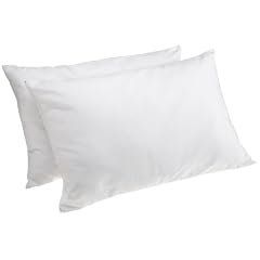 WellRest Allergy-Reducing Jumbo Size 300 Thread-Cou