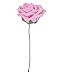 Leegoal(TM) Artificial Rose Flowers Bridal Wedding Bouquets (Dark Pink,20pcs)