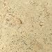 Eco Cork Nieve