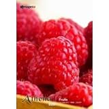 ���ƥ� Vol.20 �ե롼��