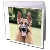 Dogs German Shepherd - German Shepherd - Greeting Cards-6 Greeting Cards with envelopes