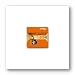 DVD-R BLANK DISC 25PK