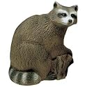 Delta Raccoon 3D Target