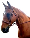 Kincade Padded Fancy Stitched Bridle Warmblood