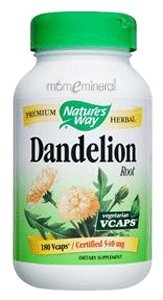 Dandelion Root 540 mg 100 Capsules by Nature's Way
