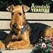   - Airedale Terriers 2009 Wall Calendar