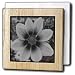 Black and White Cosmos Flower - 6 Inch Tile Napkin Holder