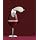 Peugeot PW245023 Clef du Vin Professional Pocket and Service Set, Stainless Steel