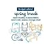 Stretchy Shapes Shaped Rubber Bands Bracelets 24Pack Spring Break