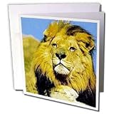 Wild animals - Lion - Greeting Cards-12 Greeting Cards with envelopes