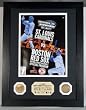 2004 WORLD SERIES (Boston Red Sox vs. St. Louis Cardinals) FRAMED OFFICIAL PROGRAM/COIN SET