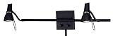 Gooseneck, Swivel Neck & Swing Arm Lamps